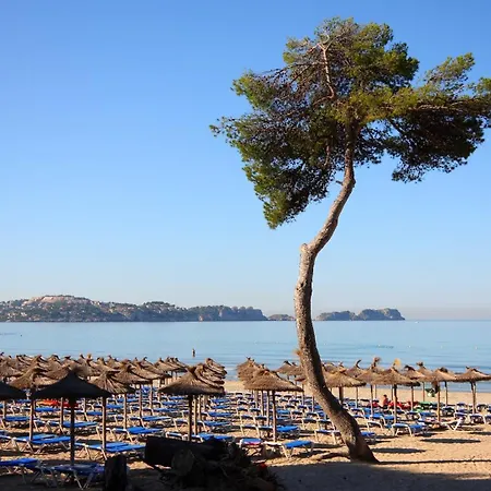 Apartamento Petit Blau