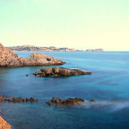 Petit Blau *